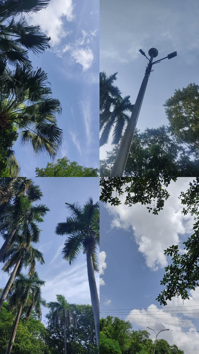itsssamann's tweet photo. Earth on Greening Arc 🍃 https://t.co/glnvQYY11Z