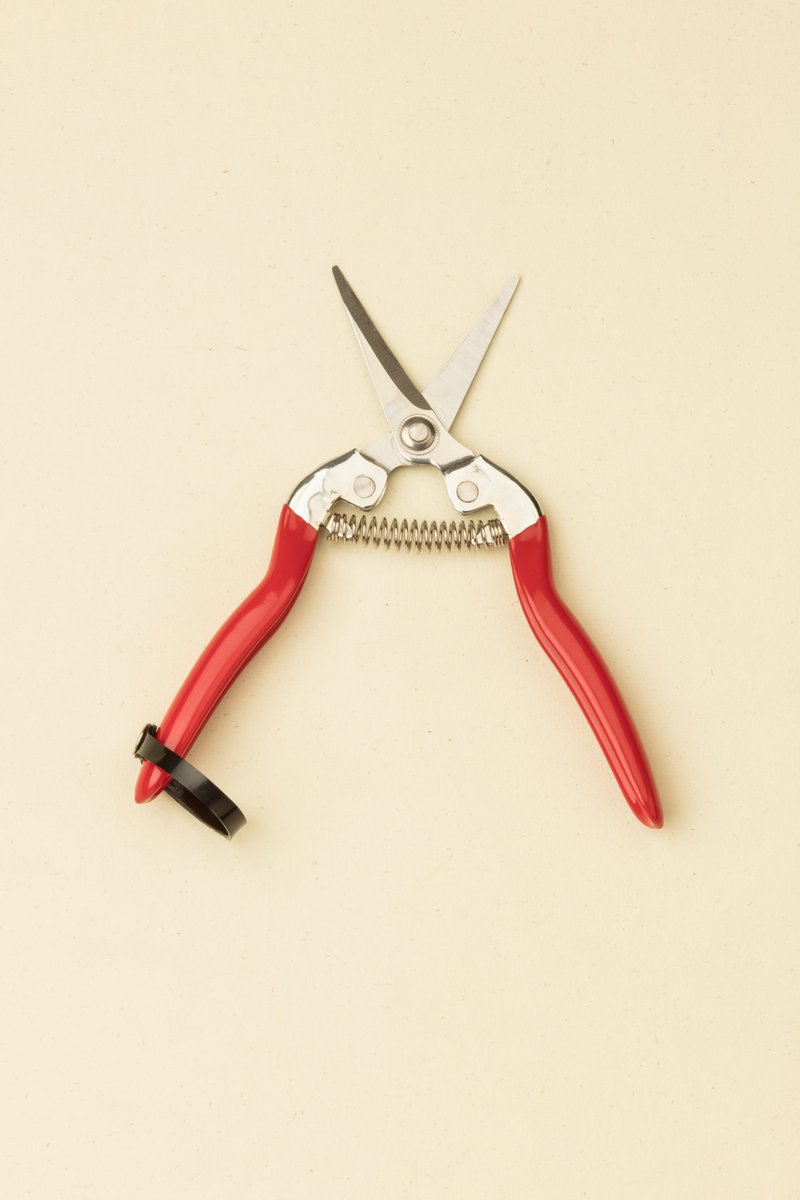 japetoltd's tweet photo. If you haven't already started, get outside and get dead-heading! Japeto offer a whole range of pruning tools which are perfect for the job. Get yourself over to the website, https://t.co/t87f8NuOit 🌹 #japeto #japetotools #japanesegardentools #japanesegardening #japetogardening https://t.co/LgX1KXLs6G