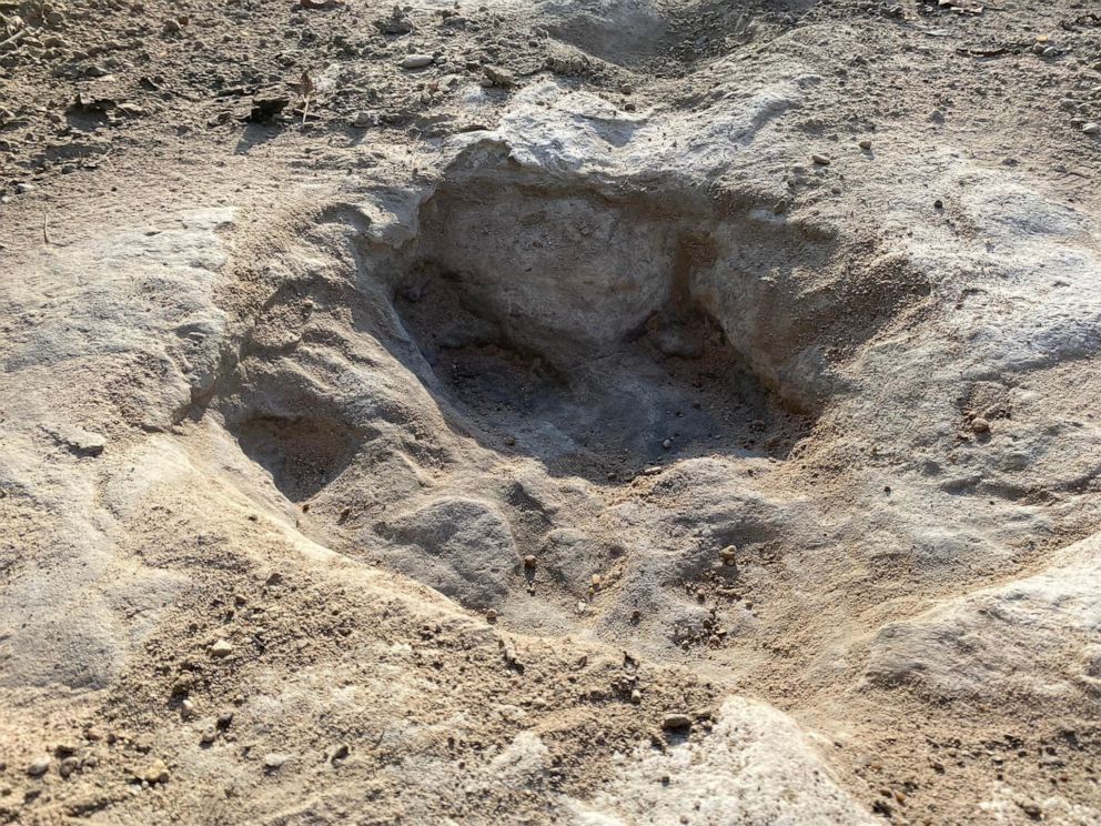 dailyguardianph's tweet photo. DINOSAUR TRACKS 🦕

LOOK: Dinosaur tracks from around 113 million years ago have been revealed at Dinosaur Valley State Park in Texas due to severe drought conditions that dried up a river. 📷 Dinosaur Valley State Park https://t.co/fjJVCAYtAY