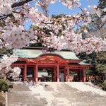 ツイートに含まれる画像