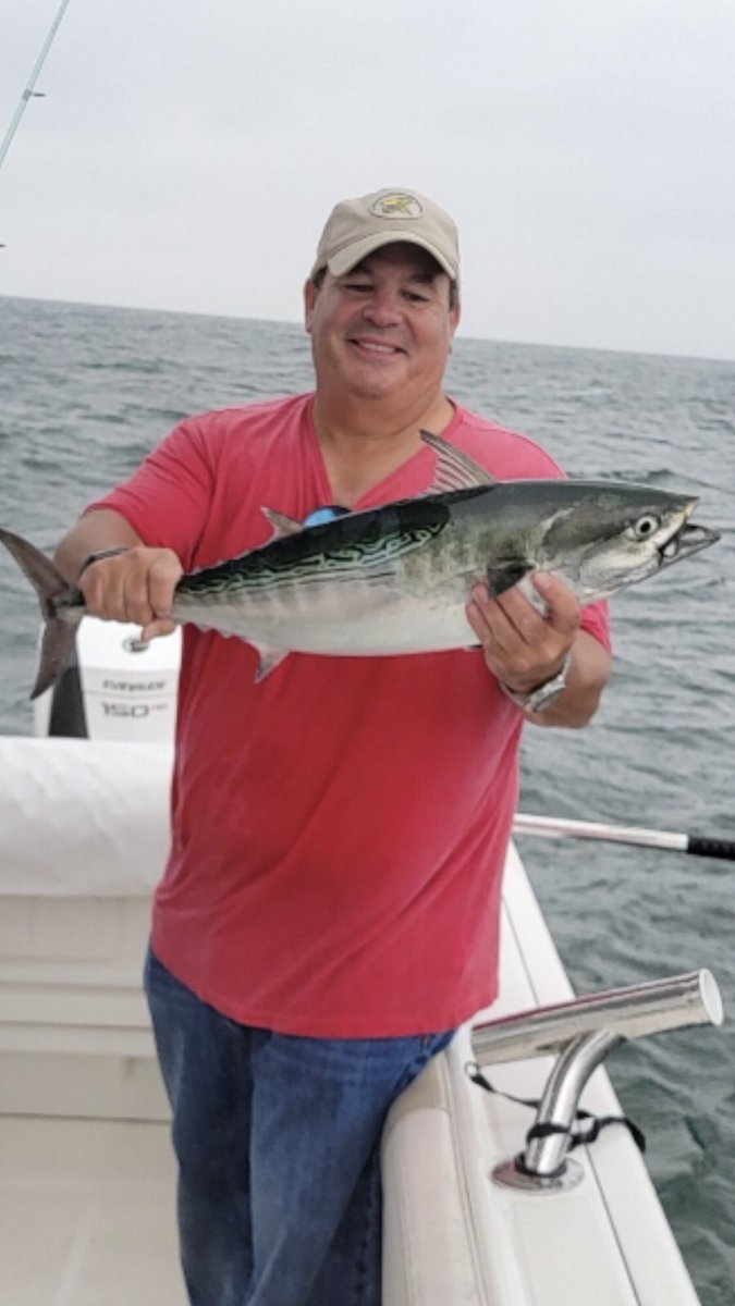 The_Fish_Bandit's tweet photo. Fish Bandit Charters out of Falmouth MA on Cape Cod landing a few Albies!
#Fishing #Albies #Robalo #Salt #CapeandIslands check out https://t.co/axiX16XP9I https://t.co/O9KNweXBSS