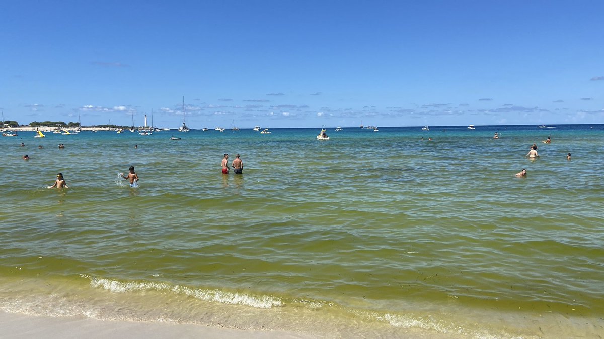 Pinocurva's tweet photo. Grande delusione a #Sanvitolocapo mare verde sporco e odore insopportabile…???? Qualcuno Sa cosa e’ successo?#trapani #sicilia #sanvito #mare #sporco https://t.co/e3KHITC9Rx