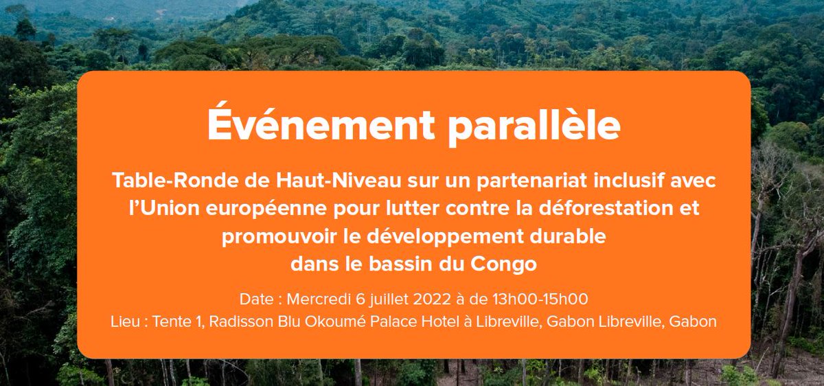 cbfp_pfbc's tweet photo. #RdP19 : @cbfp_pfbc - @Fern_NGO - @CAFISecretariat : Synthèse table ronde de haut niveau sur la déforestation importée.. https://t.co/j09CXv0tU0
MOP 19: CBFP - FERN - CAFI: Summary of High-Level Roundtable on Imported Deforestation https://t.co/cqqWyx9Qi3 https://t.co/ZU24PCyT5H