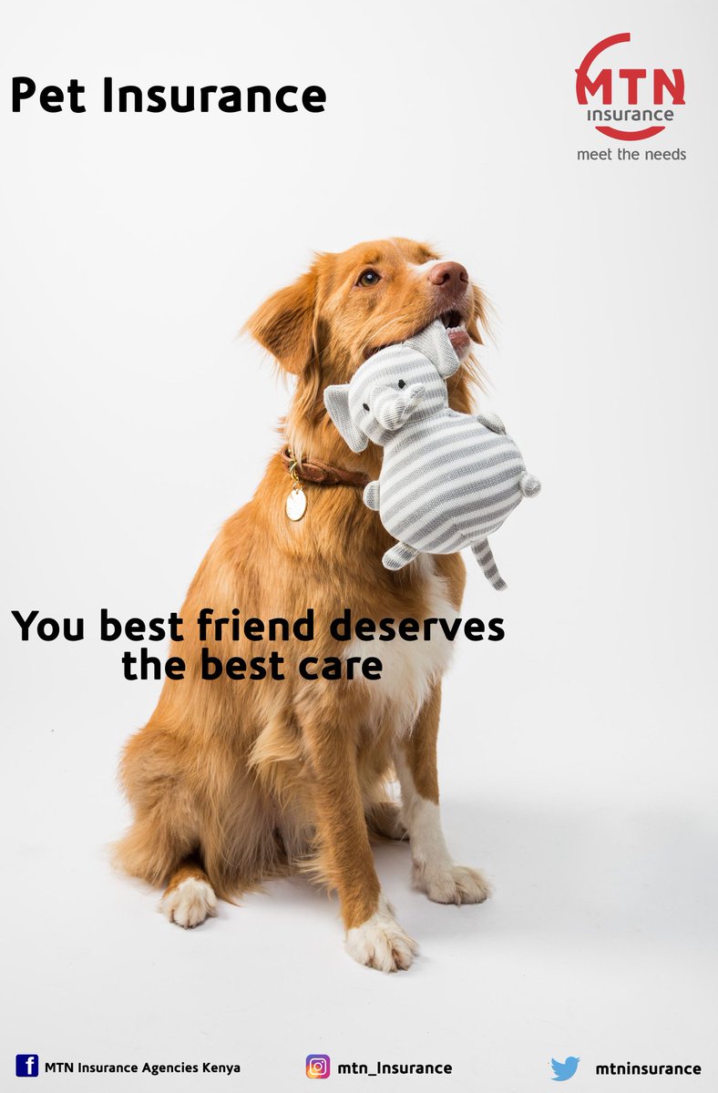 mtninsurance's tweet photo. Pet Insurance covers:
-Accidental death,
-Diseases of terminal nature,
-Emergency slaughter,
-Epidemics
-Theft.
#MTNInsurance #insurance#health #pet
#nairobi https://t.co/StG2xF47DA
