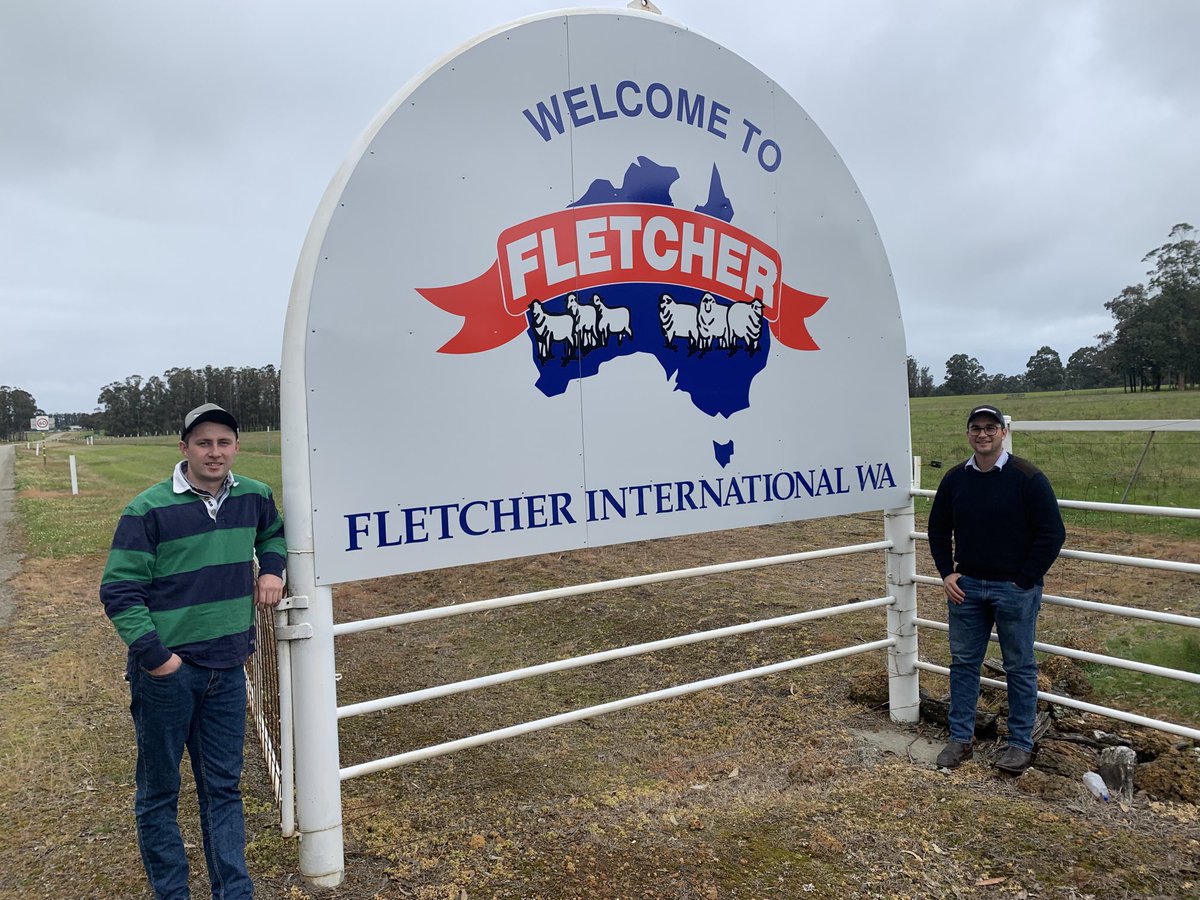 MitchRubie_'s tweet photo. Had a great week in WA with @craigwilsonlive and @austingrace01 seeing a great range of the WA sheep and wool industry. Thankyou to the @PWScholarship for making this trip possible. Also a special thanks to @wattle_dale Fletchers and @Billandri2 for having us! https://t.co/TRBvc1Ctjh