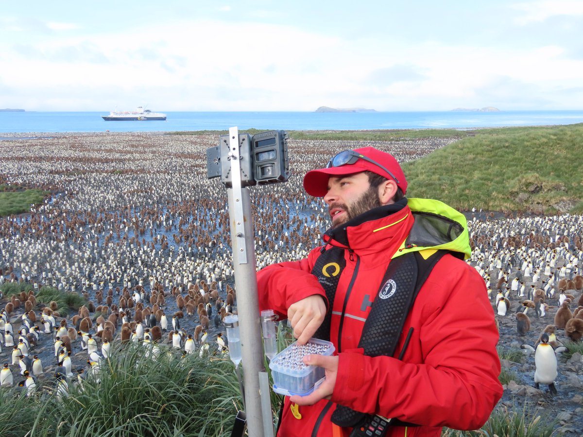 penguin_watch's tweet photo. @TheSeabirdGroup @PenguiNacho Nicely done #TomHart and @PenguiNacho https://t.co/BXfFBb8lVF