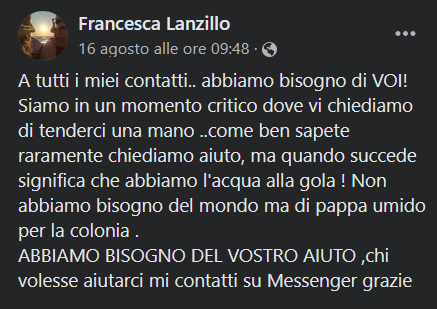 unonlus's tweet photo. non lasciamo inascoltato il suo grido di aiuto ๐๐ป๐๐ป๐๐ป ... chi puรฒ la contatti o su fb
o tramite whatsapp 3356337884 https://t.co/H8MWsghcB3
