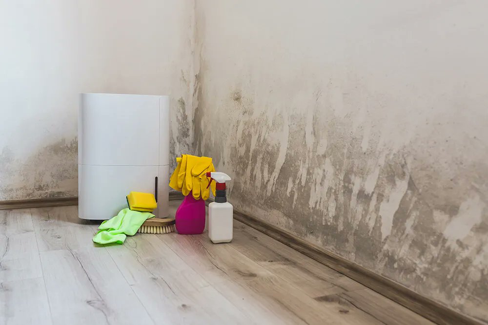 WeAreSmartline's tweet photo. With #energybills increasing, heating our homes efficiently and healthily is a top priority. Household #mould caused by condensation can seriously affect our #health. Our research reviews the links between #mould, #damp &amp; #humidity. Read this &amp; more at: https://t.co/yubOzYLuYh https://t.co/E1VFEmEKO9