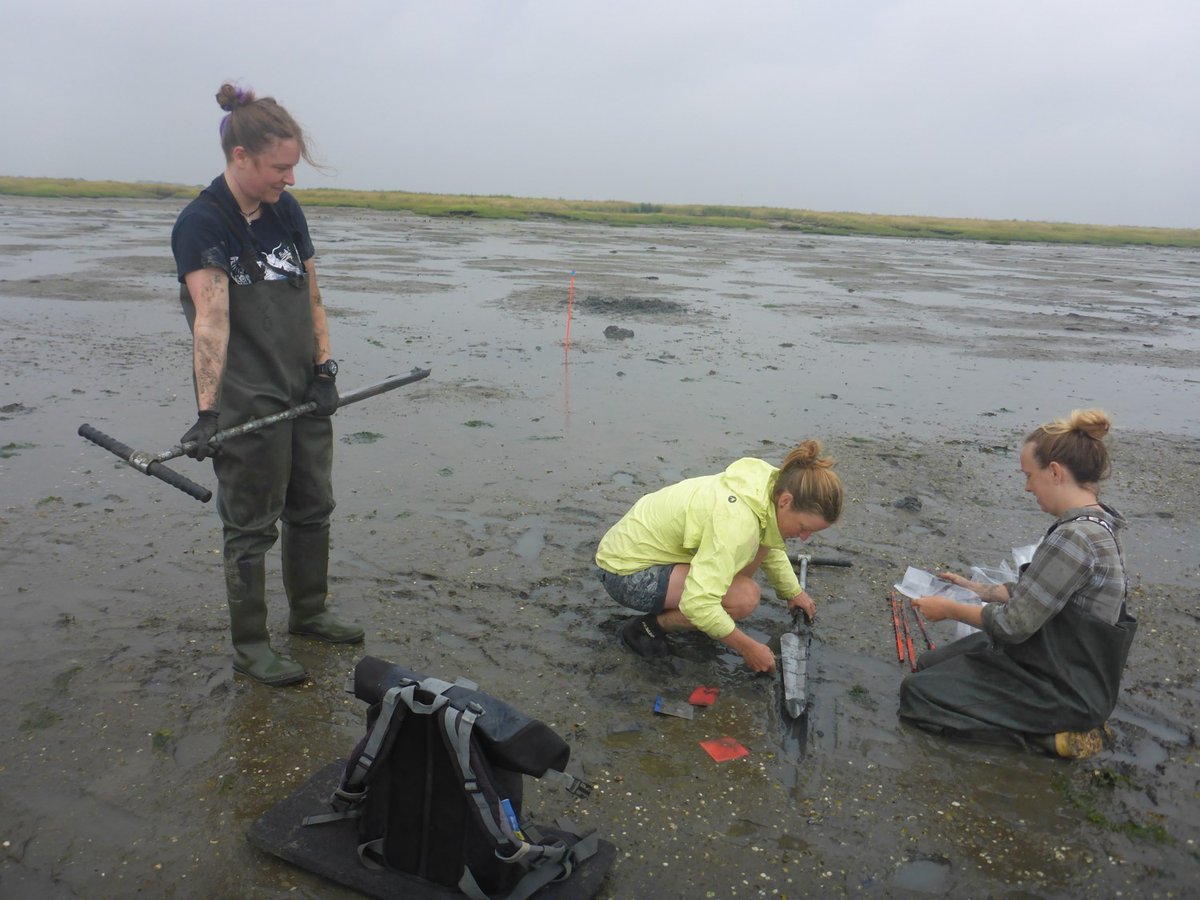 CDRmare's tweet photo. This is cross-institutional & muddy work! Week before last, a #sea4soCiety team collected 100’s of #CarbonStock samples in salt marshes, seagrass meadows and mudflats of the North Sea coast @AWI_Media @GEOMAR_en @LeibnizZMT @MARUM_de @ICBM_uol @unihh @UniBremen #MPIBremen. 🧵1/6 https://t.co/y6si4hXQER
