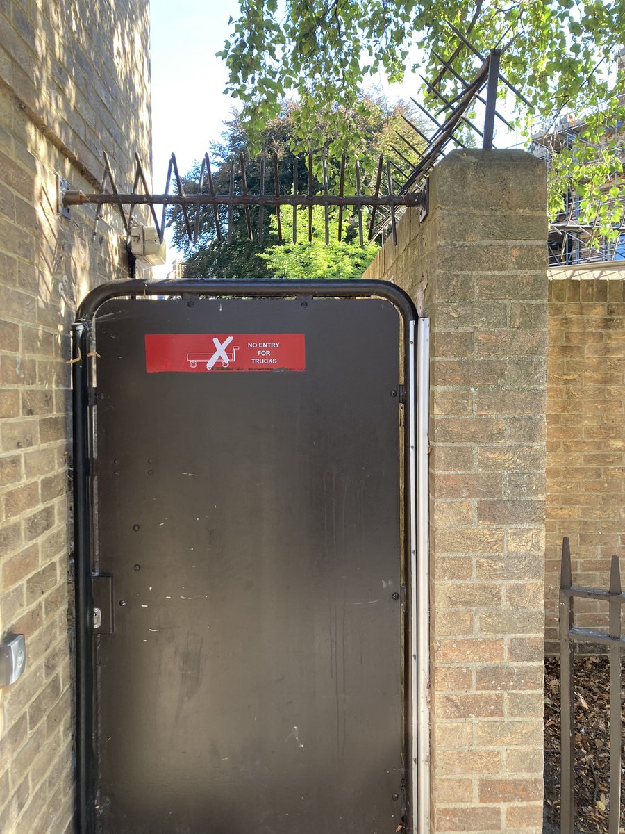 Divya Venkatesh tweet media