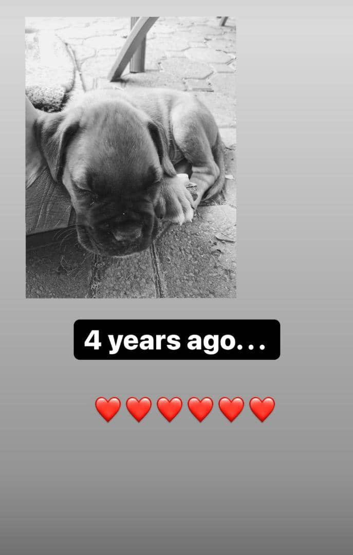 Margretfxt01's tweet photo. My baby❤️‍🔥❤️‍🔥❤️‍🔥 https://t.co/YiE3LNCLdC