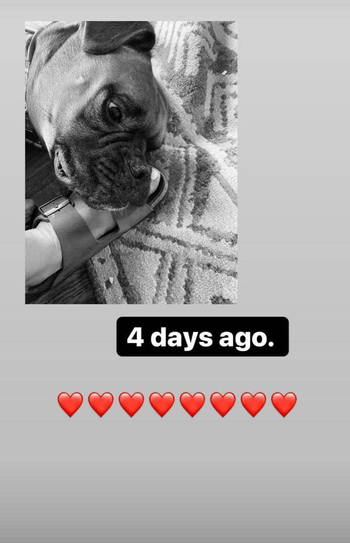 Margretfxt01's tweet photo. My baby❤️‍🔥❤️‍🔥❤️‍🔥 https://t.co/YiE3LNCLdC