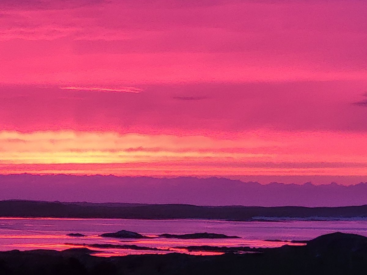 Local Community Market Gardens CIC tweet media