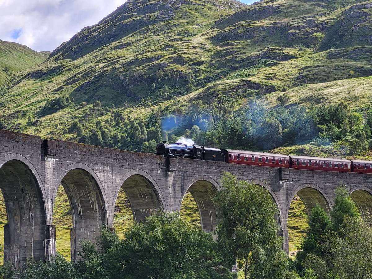 Local Community Market Gardens CIC tweet media