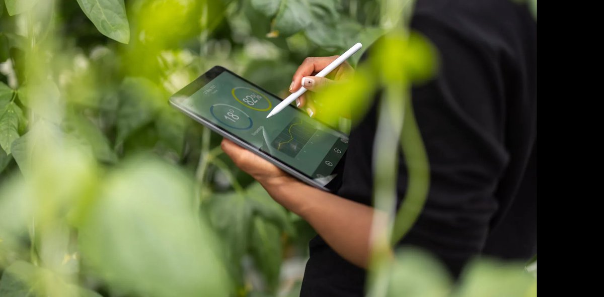 <a href="/conduiit/">conduiit</a> working with @ProPitchSystem <a href="/SportsLabsLtd/">Sports Labs</a> = Sports Pitch Review. Testing &amp; data  combining to provide <a href="/Upp_Sport/">Sport | Uppingham School</a> with real-time powerful insight &amp; analysis to drive intelligence. Gather-Analyze–Plan–Inform #pitchinfrastructure #informeddecisions #strategicthinking