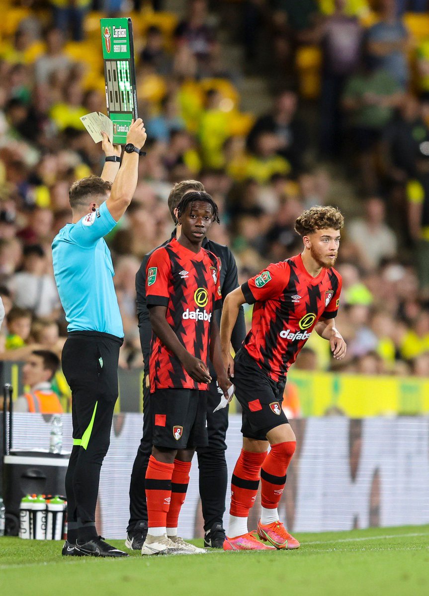 Dominic Sadi tweet media