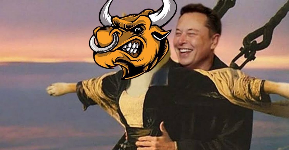 BullShitInu's tweet photo. BullShitInu is here to stay!

Join the fun!
DO IT NOW!

🔹https://t.co/5BkZWwES48
🔹https://t.co/QzCfXd7xyh

#cryptocurrency #Crypto #cryptotrading #memecoin https://t.co/UzGUfPPS8L