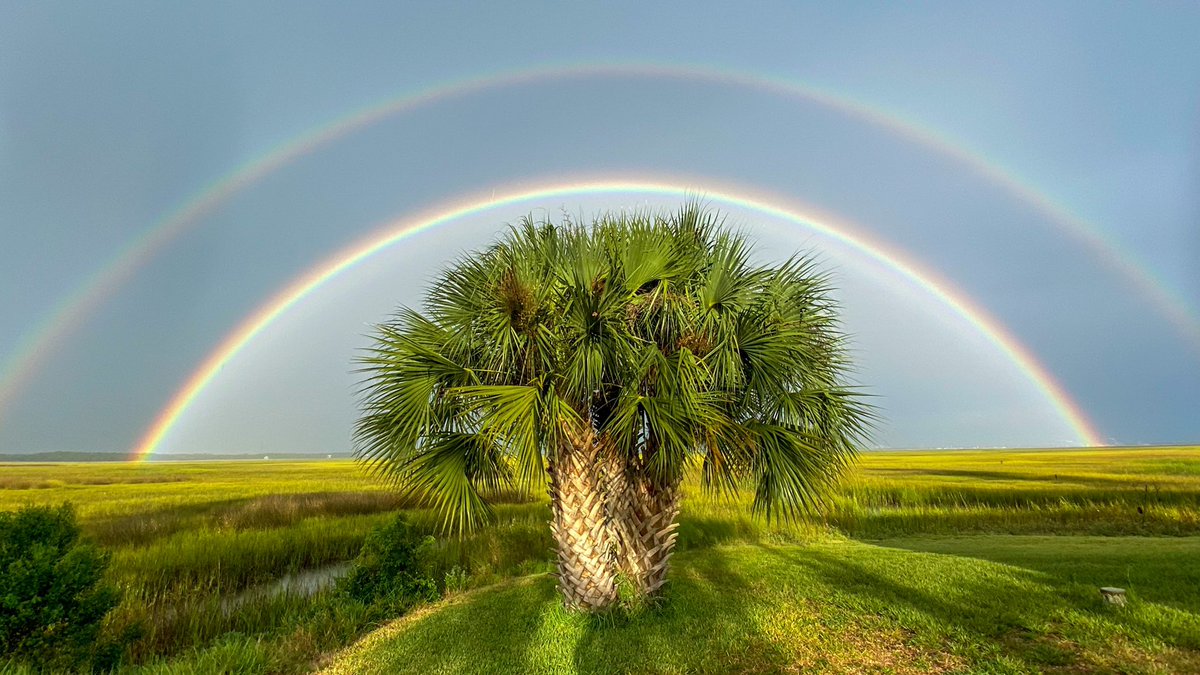 When There’s Love in the Heart
There Are Rainbows in the Eyes!

A Rainbow after a Storm in My Front Yard Yesterday!

#rainbow #Peace #Love #Happiness
