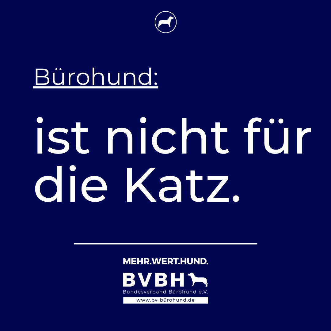 BV_Buerohund's tweet photo. Haute gabs 🤡 zum Frühstück.
#Bürohund #Verstehste https://t.co/PiAcAiYU0s