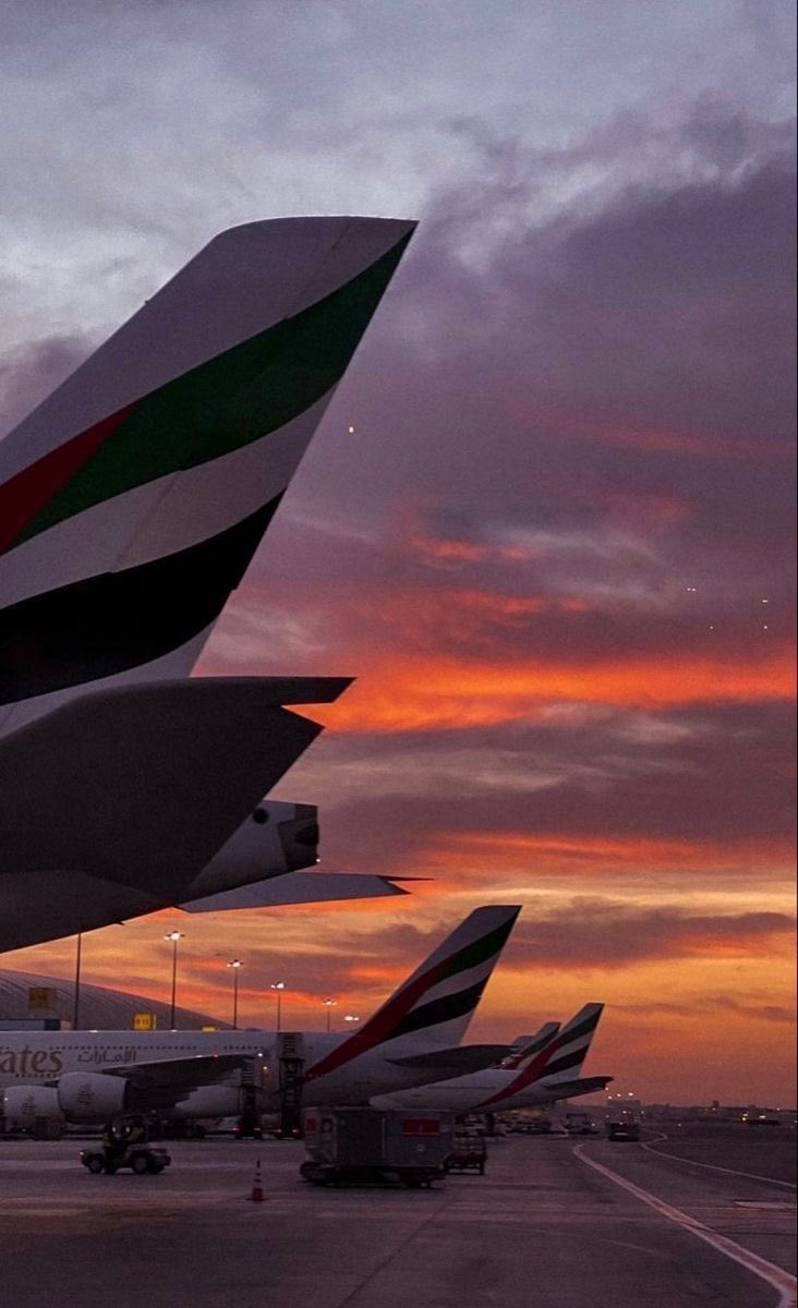 Emirati Pinterest tweet media