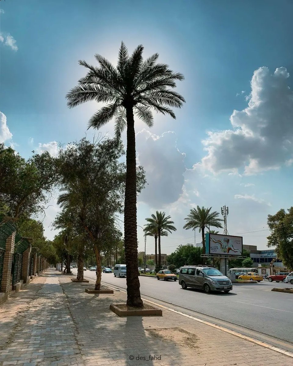 This Is My Iraq tweet media