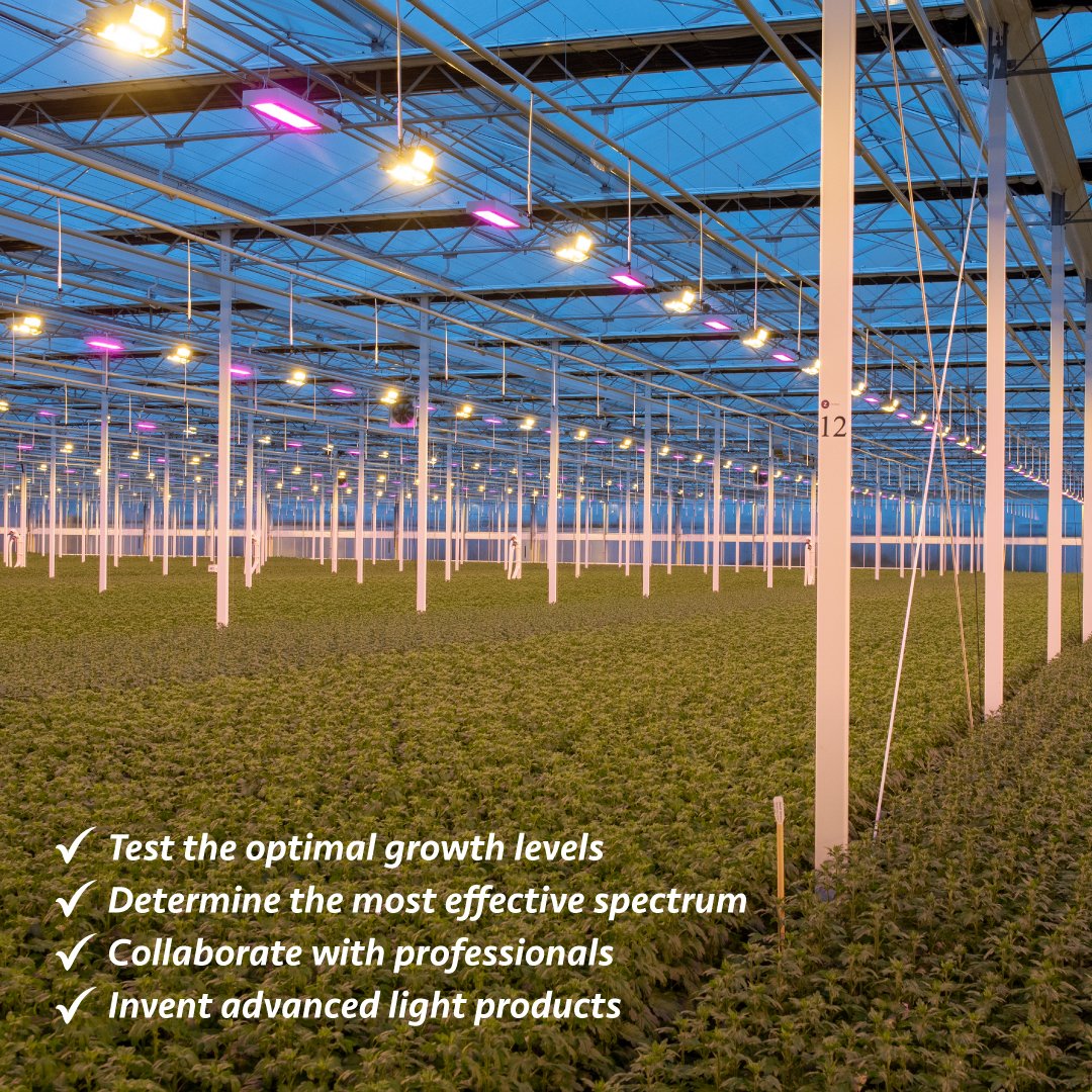 lightenginetech's tweet photo. #LightEngine has an #organicfarm in California. We collaborate with professionals to test the optimal growth levels of different plants in terms of reliable and consistent yields, and to determine the most effective spectrum for each growth phase. https://t.co/arhw7EsUcw