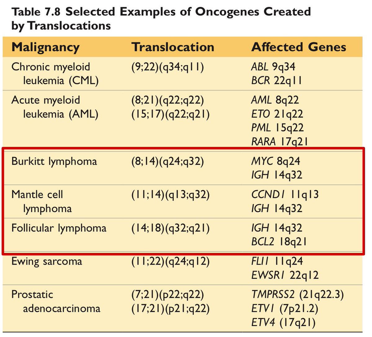 chanjonachan's tweet photo. This table from Robbins is hard to memorize, but the lymphoma translocations could be remembered better if we make sense of what's actually going on here. 

It's also a bit satisfying to connect this to what we already know from basic pathology. 

🧵 1/n

#PLE #PLE2022 #Patho https://t.co/PsYNVvQpfV