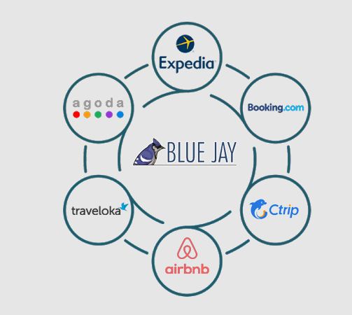 bluejaypms's tweet photo. Blue Jay Pos Việt Nam là một chuyên gia trong lĩnh vực phần mềm quản lý nhà hàng, spa và #khách #sạn.
https://t.co/4Sy0rnBXxZ
#phầnmềm #kinhdoanh #bluejay #kinhdoanhkháchsạn
#kinhdoanh https://t.co/kDKiK6i37c