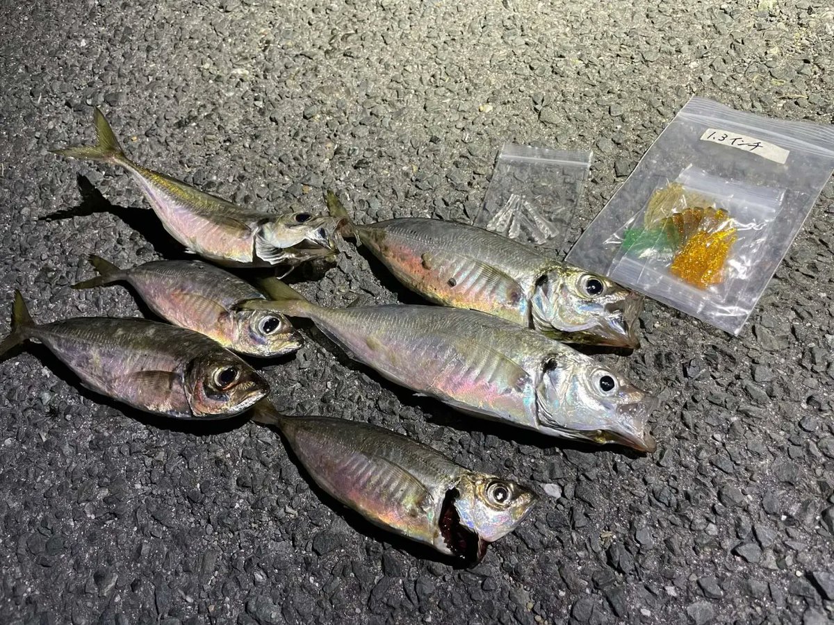 KCW_Kinopy's tweet photo. レンジセンサー1.3インチプロトタイプで釣果情報いただきました❗
リブの抵抗があるからフォールのアタリが分かりやすく、アピールもいい感じ。とレビューいただきました。
いい感じに仕上がってます👍
#KinopyCraftWorks
#レンジセンサー
#プロトタイプ https://t.co/OZ4yUwmBEl