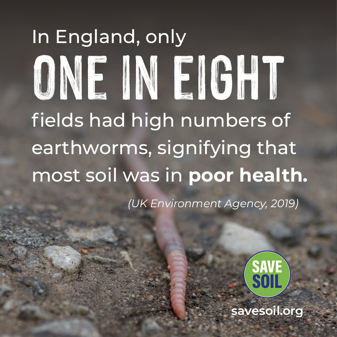 cpsavesoil's tweet photo. These creatures are small but mighty. The unseen work they do underground is fundamental to the health of soil and consequently the nutritional content of our food.

Action now. https://t.co/z6MmqLY2lE
#SaveSoil #ConsciousPlanet #earthworms #England #nutrition #food https://t.co/JcKZOq2I5K