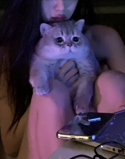 luoliaolai's tweet photo. 视频一对一露脸听指挥，有偿验证，白piao的请绕道，无中间商，图本，有诚加QQ2156996562,没诚意的别加，谢谢 https://t.co/gN60M2qz2e