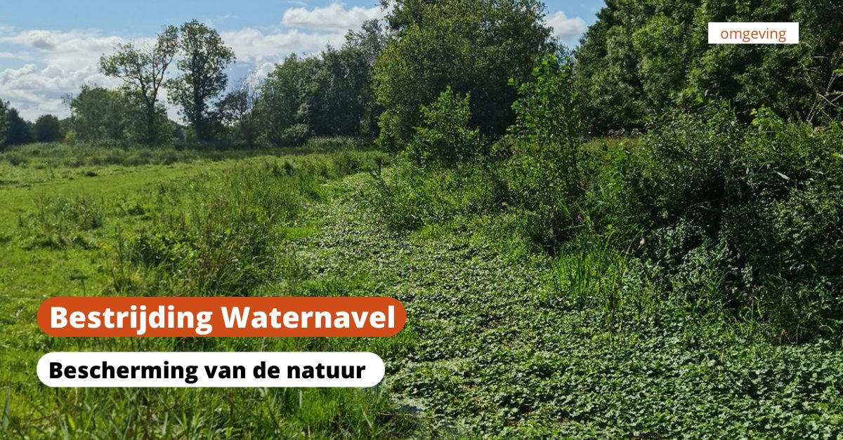 Waterschap Limburg tweet media