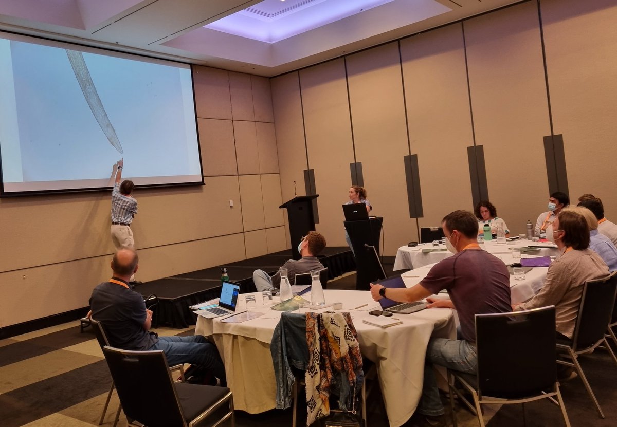 sarah_nematodes's tweet photo. Learning is never done! Exchanged ideas, learnt about great new research and caught up with colleagues and friends. Soilborne diseases are the bomb! Much to share from @ASDS2022 in Cairns. #nematodes #plantpathology @DPIRDbroadacre https://t.co/SKFuagVoQQ