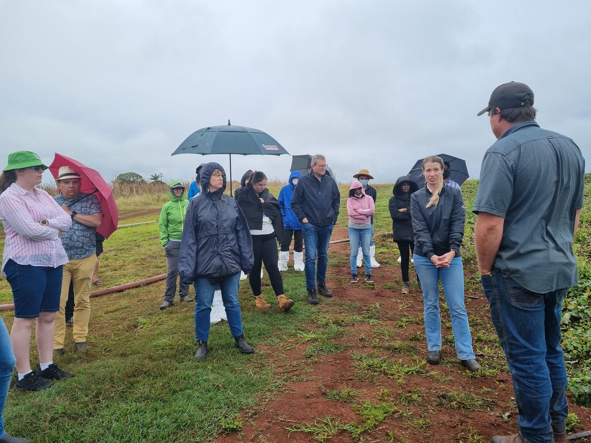 sarah_nematodes's tweet photo. Learning is never done! Exchanged ideas, learnt about great new research and caught up with colleagues and friends. Soilborne diseases are the bomb! Much to share from @ASDS2022 in Cairns. #nematodes #plantpathology @DPIRDbroadacre https://t.co/SKFuagVoQQ