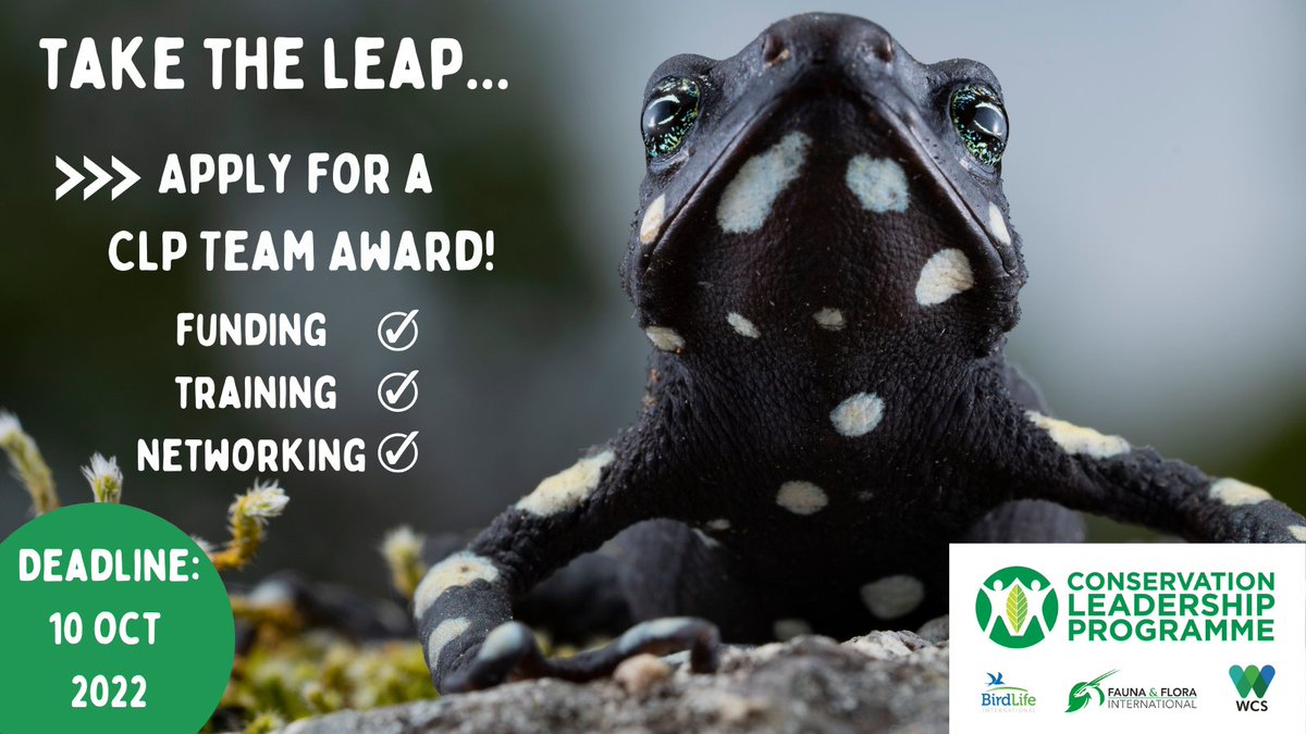 Conservation Leadership Programme (CLP) tweet media