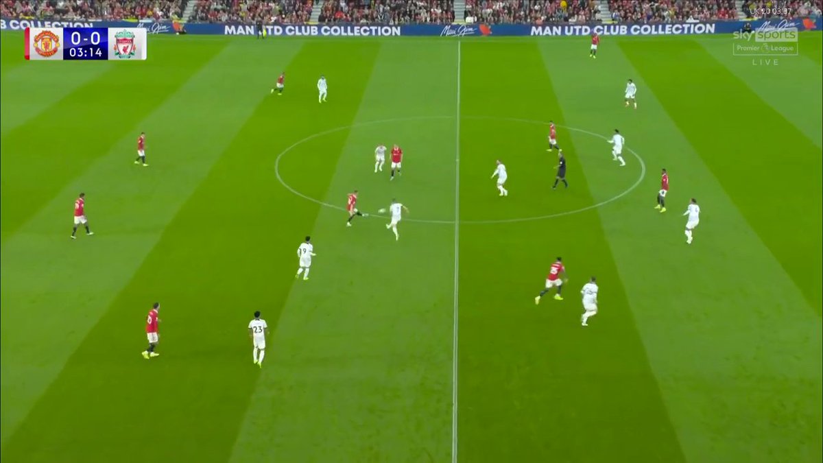 Grace Robertson 🏳️‍⚧️ tweet media