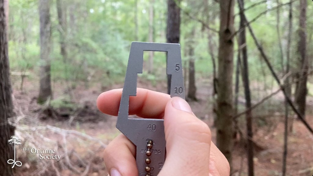 OrianneSociety's tweet photo. In this episode of #LightingaMatch, Caleb Goldsmith talks to us about basal area. Learn how to measure forest stand density for making important forest management decisions such as estimating forest regeneration needs and wildlife habitat requirements:
https://t.co/ZuzwCuhhGb https://t.co/eBGOaM9JD4
