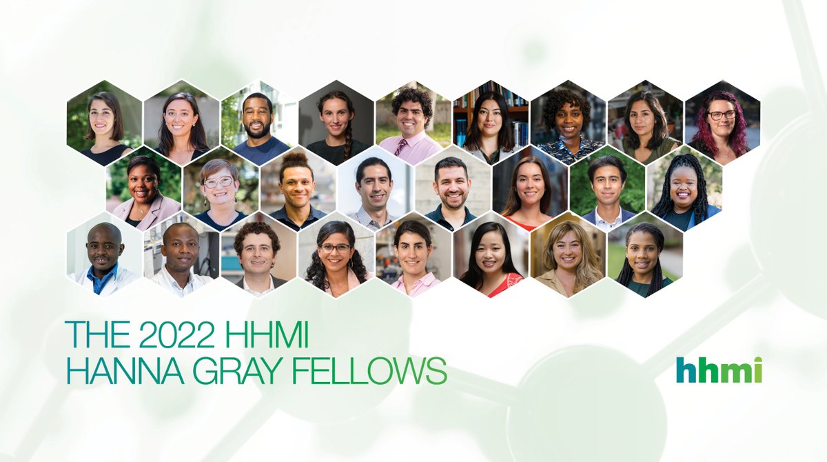 Meet the 2022 #HannaGrayFellows!

These talented postdoctoral scientists represent a promising and more diverse future for biomedical science.

Learn more about them at hhmi.org/news/25-early-…