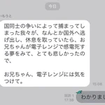 可愛い。夢の中で不吉な事があり心配のLINEをしてきた妹。