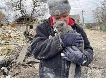 ziegenwelt's tweet photo. @Gerashchenko_en #forgottenanimals #animals #animalsukraine #StandWithUkraine️ #RussiaIsATerroristState #StopTheWar https://t.co/2GAXJLmf2L