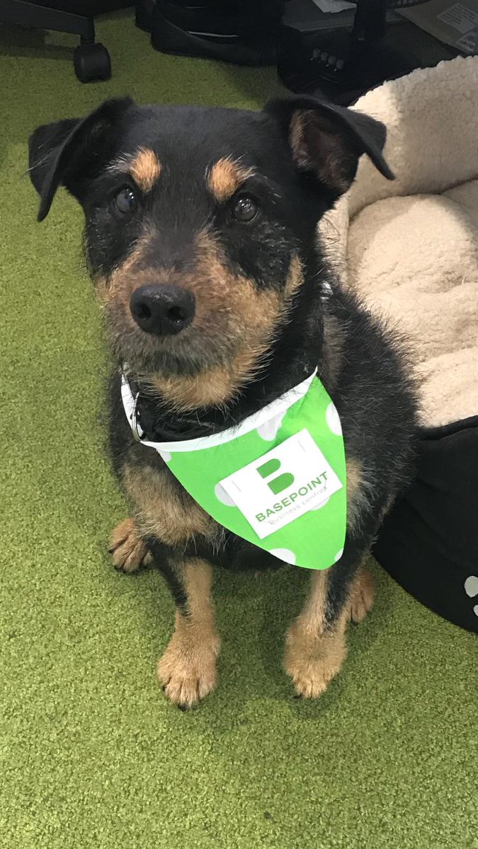 Basepoint Broxbourne tweet media