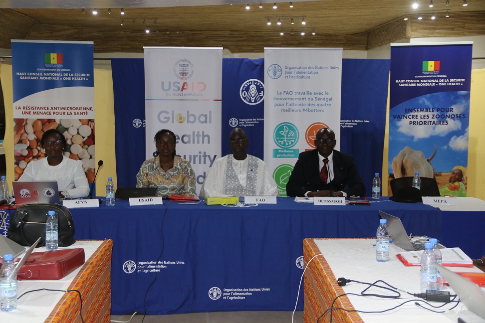 FAOSenegal's tweet photo. Un appui de @FAOSenegal au Secrétariat Permanent du Haut Conseil National de la Sécurité sanitaire mondiale qui accompagne l’Association des femmes vétérinaires du #Senegal dans son engagement pour l’implémentation de l’approche #OneHealth

#UneSeuleSanté #FAOECTAD #Genre #Gender https://t.co/ZVH0jr1EYF