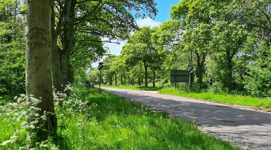 Wirral Life Magazine (@wirrallifemag) on Twitter photo i-Trees Eco Study launches in Wirral in partnership with Forest Research... 
Read more 👉ow.ly/3mHh50Kr1jA i-Trees Eco Study launches in Wirral in partnership with Forest Research... 
Read more 👉ow.ly/3mHh50Kr1jA