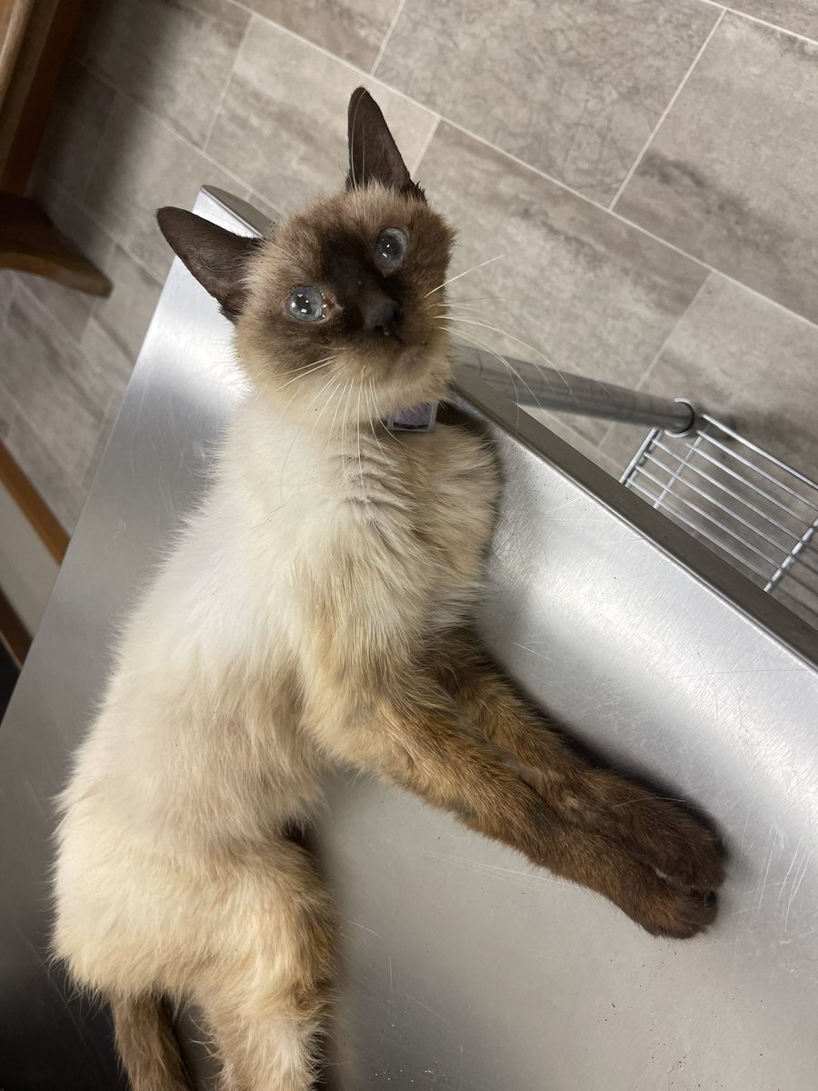 Ben Roethig @benroethig.bsky.social tweet media