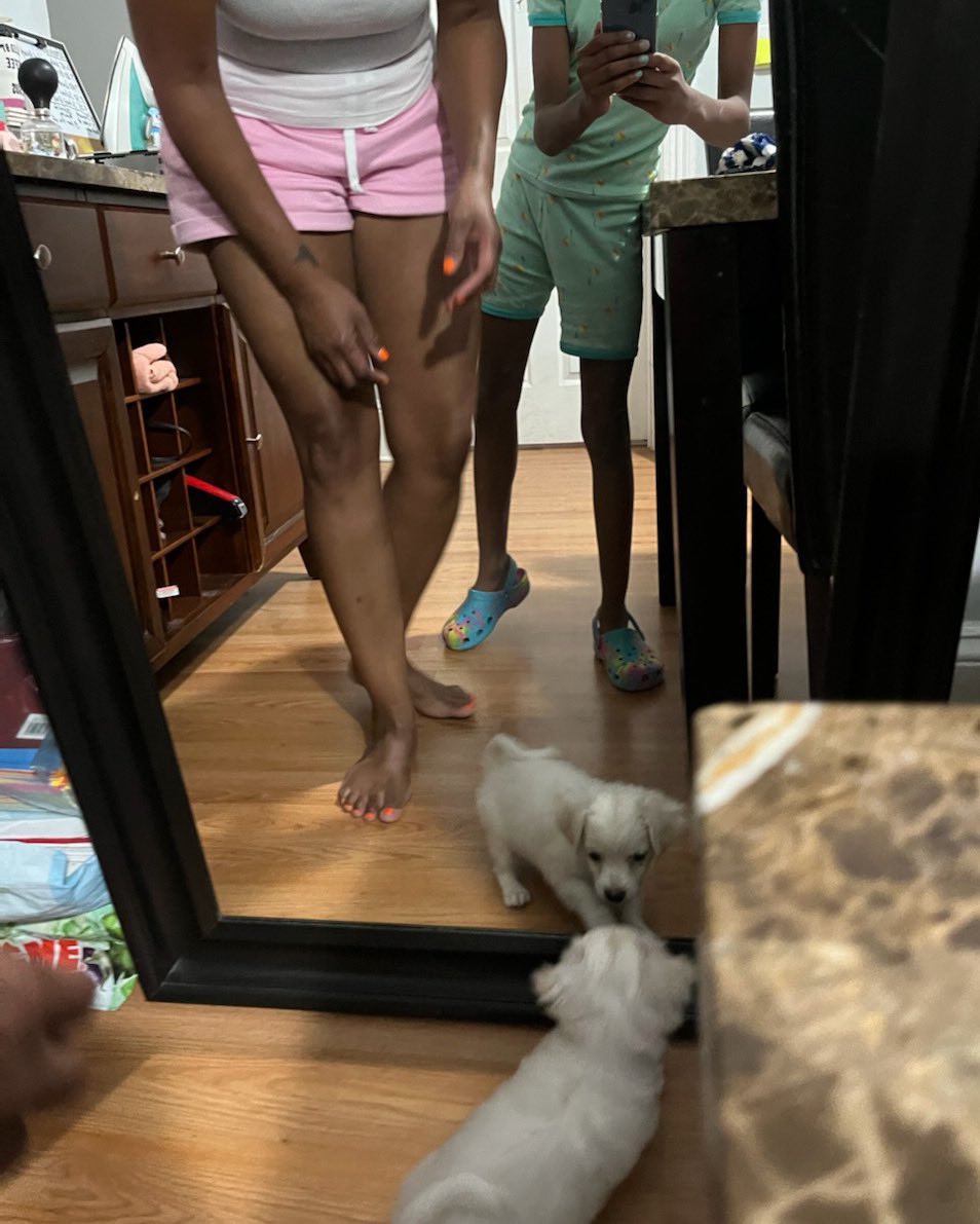 Time in the mirror affirming who you are is self care ☺️. Bella Jo fits in perfectly-friendly, sassy, selfie and mirror lover😂