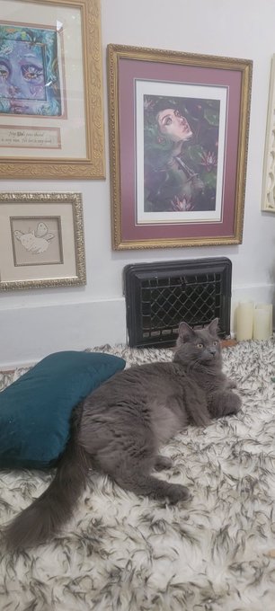 Miss Clementine approves off the new filming spot. https://t.co/Pv2qxMUWL8<a href="/tag/onlyfans"class="tags"><span>#onlyfans</span></a><a href="/tag/fansly"class="tags"><span>#fansly</span></a>