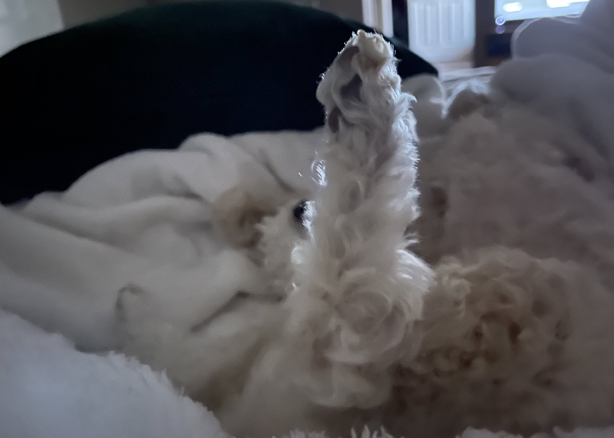 🌟AubriLuv.eth 💦 on Twitter "This is how I woke up this morning.. lol