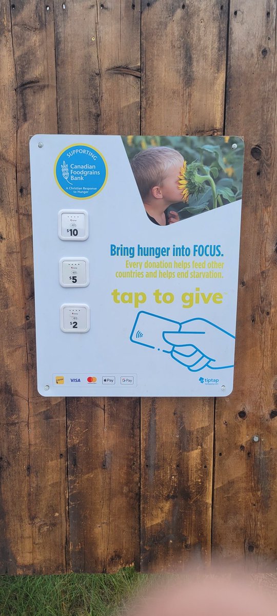 Focusfields's tweet photo. Tap to give is up and good to go, so simple. Also reminder that Nacho mamas food truck is setting up tomorrow for supper and there till Saturday. There is still lots of flowers out there but we are likely past peak flowering now so this week will be best opportunity https://t.co/z5yOeUDCw2