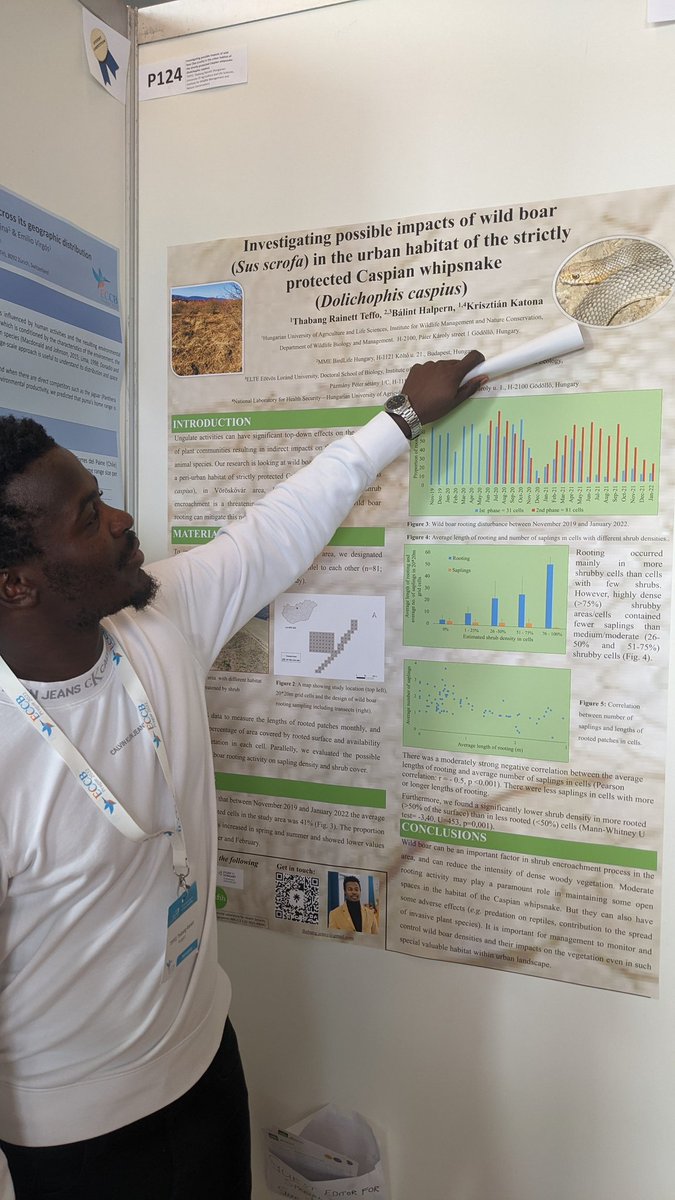 Rachel Neugarten @rachelneugarten.bsky.social (@rachelneugarten) on Twitter photo Native wild boar rooting activity provides habitat for a protected snake in Hungary research by <a href="/thabang_teffo/">Dr Thabang Teffo</a> @ECCB_2022 Native wild boar rooting activity provides habitat for a protected snake in Hungary research by <a href="/thabang_teffo/">Dr Thabang Teffo</a> @ECCB_2022