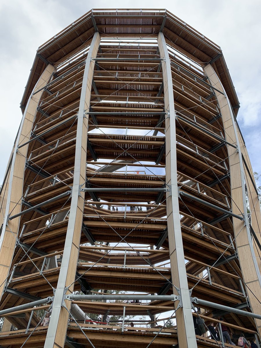 You have to visit Beyond the Trees (<a href="/AvondaleBeyond/">Beyond the Trees Avondale</a>) in 🇮🇪 Ireland, it’s epic